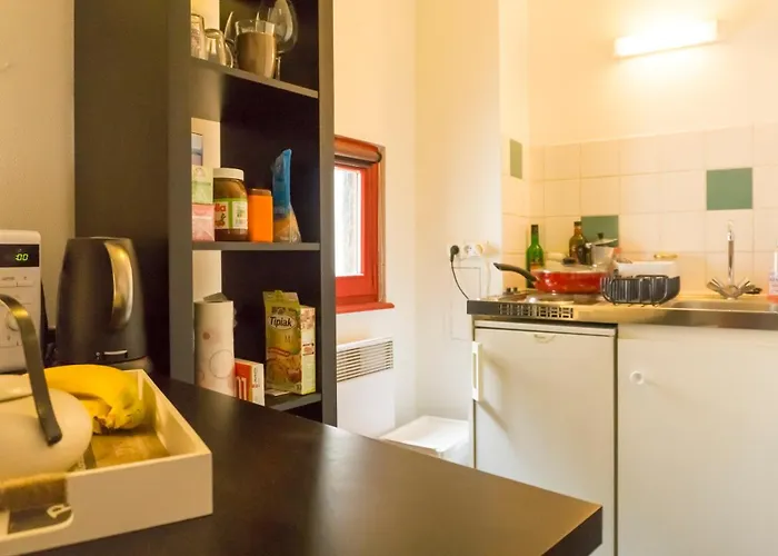 Charming Attic Duplex In The Heart Of Lejlighed